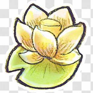 Flower Icon - Hand-painted Lotus Transparent PNG
