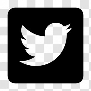 YouTube Social Media Clip Art - Beak Transparent PNG