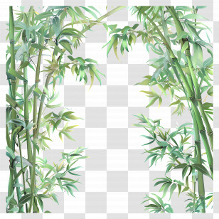 Bamboo Forest - Decorative Bamboo Frame With Natural Design Transparent PNG