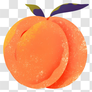 Peach Fruit - Orange Peach With Leaves Transparent PNG
