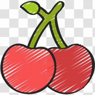 Cherry - Red Cherries Hand-Drawn Illustration Transparent PNG