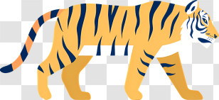 Tiger Walking - Tiger Illustration In Walking Pose Transparent PNG
