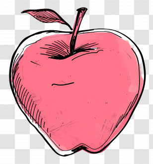 Cartoon Apple - Red Apple Illustration In Sketch Style Transparent PNG