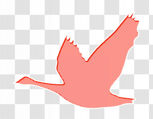 Goose Icon Birds Silhouette Icon Bird Icon Transparent PNG