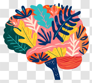 Brain Mind - Colorful Artistic Brain Illustration For Creative Concepts Transparent PNG