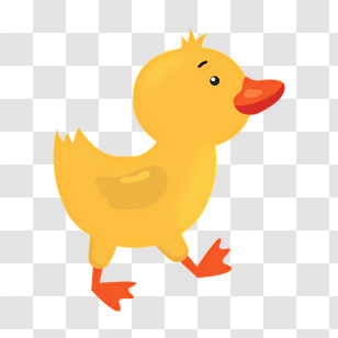Icon - Yellow Duck Cartoon Illustration Transparent PNG