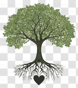 Oak Tree With Roots - Heart Rooted Tree Nature Concept Transparent PNG