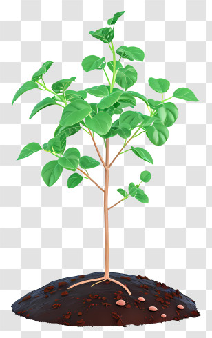 Flat Planting Tree - Young Tree Growing In Soil Transparent PNG