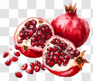 Pomegranate Watercolor - Watercolor Illustration Of A Pomegranate And Its Seeds Transparent PNG