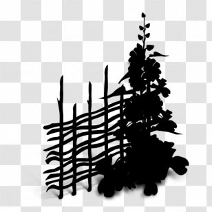 Pine Family Font Line Branching - Fir - Art Transparent PNG