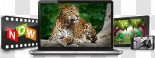 Mtel Television Mobile Phones Internet Phone Operator - Multimedia - Public Transport Timetable Transparent PNG