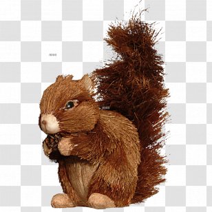 Red Squirrel Rodent Tree Animal - Autumn Leaf Color Transparent PNG