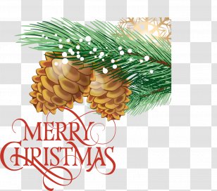 Shiny Christmas Background Pine Nuts - Card - New Year S Day Transparent PNG