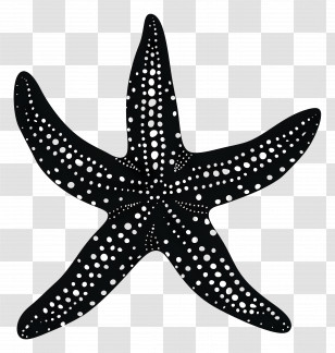 Starfish Silhouette - Black Dotted Starfish Design Transparent PNG