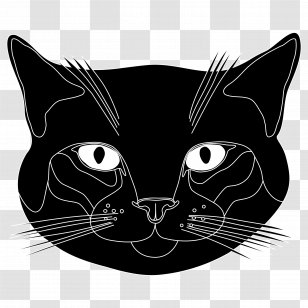 Miraculous Chat Noir - Cat Noir Miraculous Png, Transparent Png ,  Transparent Png Image - PNGitem