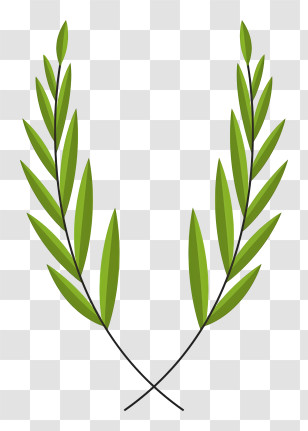 Laurel Wreath - Green Leaves Illustration Transparent PNG