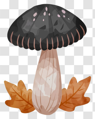 Black Mushroom - Dark Forest Mushroom With Autumn Leaves Transparent PNG