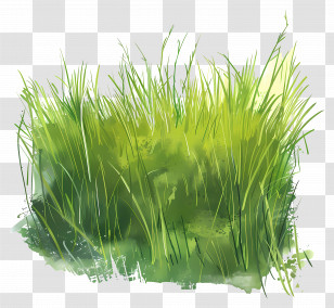 Grass Field - Lush Green Grass Illustration Transparent PNG