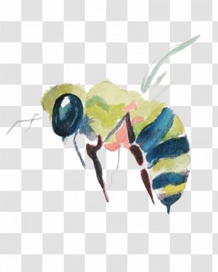 Bee Background - Carpenter Membranewinged Insect Transparent PNG