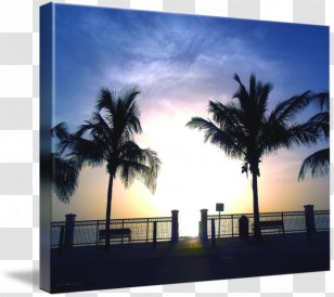 Property Arecaceae Sky Plc Tree - Seascape Transparent PNG