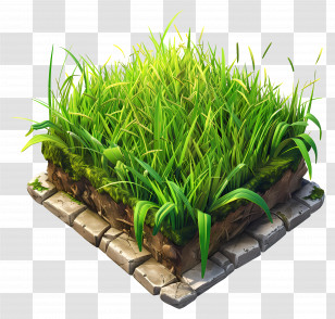 Rice Paddy - Realistic 3D Grass Block On Stone Base Transparent PNG