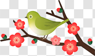 Cartoon - Green Bird On Cherry Blossom Branch Illustration Transparent PNG