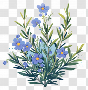 Rosemary Plant - Blooming Flower Plant Transparent PNG