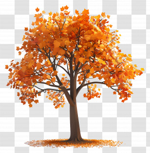 3d Tree - Autumn Tree With Vibrant Orange Leaves Transparent PNG