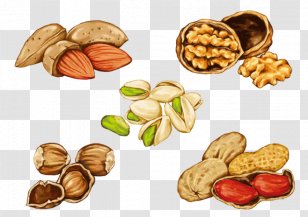 Drawing Of Family - Mixed Nuts - Cuisine Cashew Transparent PNG