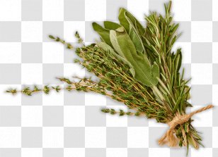 Herb Food Drying Basil Vegetable - Cucurbita - Dry Parsley Transparent PNG