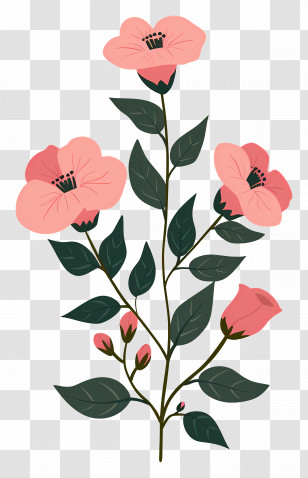 Pink Flowers - Pink Flower Botanical Illustration Transparent PNG