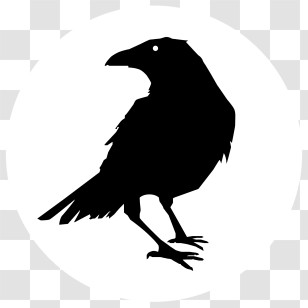 Ravens Logo - Silhouette Of A Raven In Profile Transparent PNG