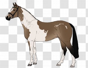 Pony Roblox Corporation Foal Horse Heart Rate Transparent Png - pony roblox corporation foal horse horse png clipart free