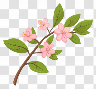 Branch With Flower - Branch With Pink Blossoms Illustration Transparent PNG