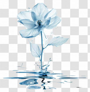 Water - Blue Water Flower Splash Art Transparent PNG