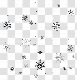 Falling Snowflakes - Black Snowflake Patterns For Winter Season Transparent PNG
