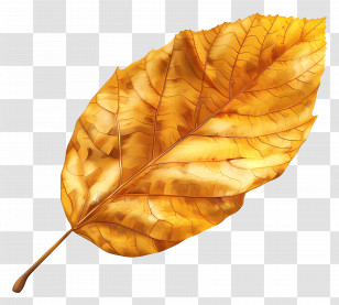 Dead Leaf - Golden Autumn Leaf Perfectly Detailed Transparent PNG