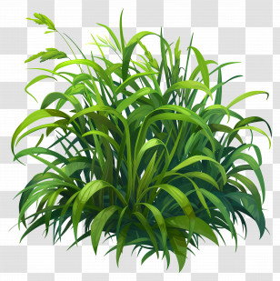 Grass Greenery - Bush Of Green Grass Illustration Transparent PNG