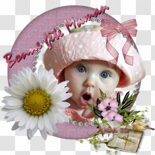 Transvaal Daisy Infant Headgear Pink M - Macha Transparent PNG