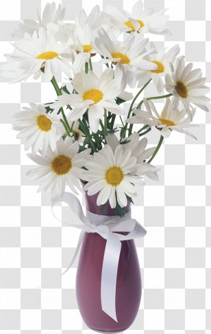 Flower Bouquet Art Photography Love - Oxeye Daisy - Camomile Transparent PNG