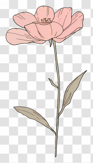 Pink Flower - Pink Flower Illustration With Stem And Leaves Transparent PNG