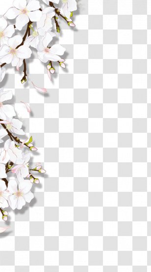 Blooming Flowers - Floristry - Flower Transparent PNG