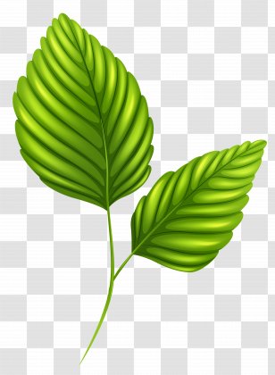 Leaf Desktop Wallpaper Clip Art - Autumn Color - Border Transparent PNG
