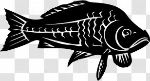 Koi Carp Fishing Decal Sticker - Aquatic Animal - Fish Transparent PNG