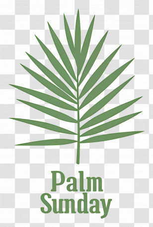 Palm Sunday - Palm Sunday Leaf Transparent PNG