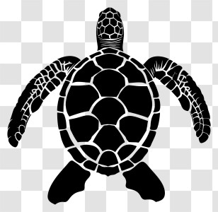 Turtle Silhouette - Turtle Silhouette Design Transparent PNG