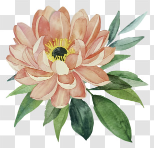 Peach Flower - Beautiful Watercolor Flower With Leaves Transparent PNG