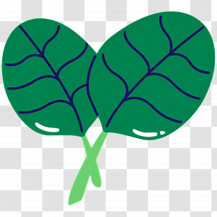Spinach - Fresh Green Spinach Leaves Transparent PNG