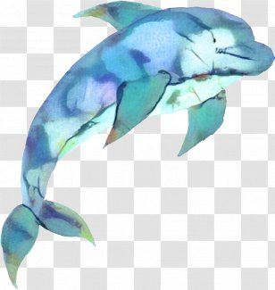 Dolphin Poster Watercolor Painting Graphics Drawing - Fish - Shortbeaked Common Transparent PNG