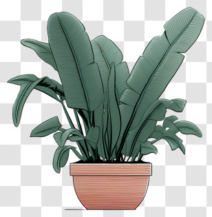 Green Leafy Plants - Elegant Potted Plant Illustration Transparent PNG